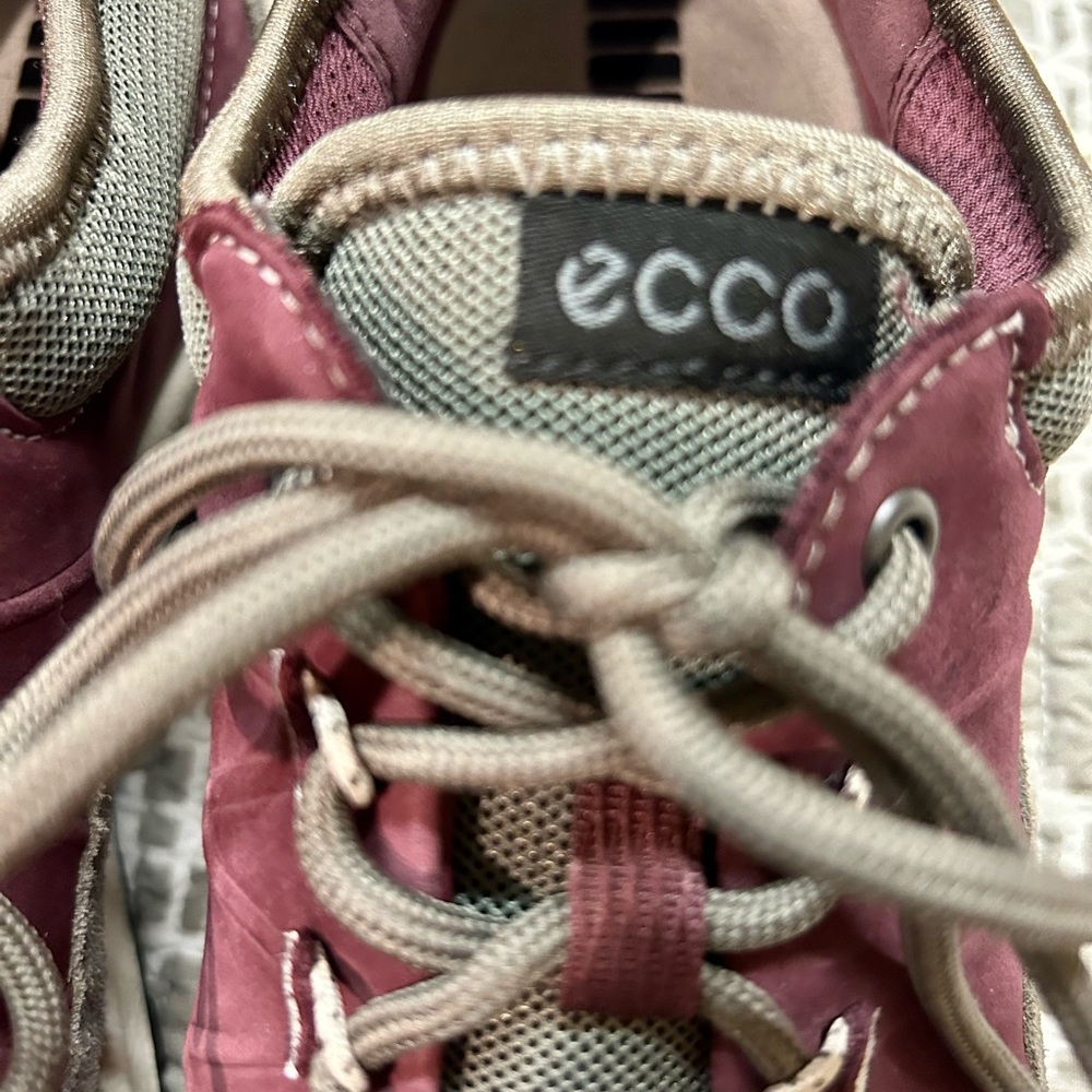 ecco aspina low gtx